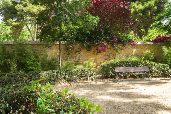 Walencja Hiszpania 2019 Ogród Ayora Jardin Ayora Prywatny Ogród Xix — Zdjęcie stockowe