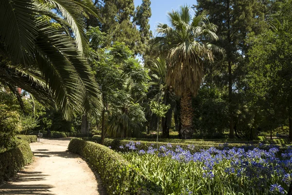 Valencia Spain 2019 Ayora Garden Jardin Ayora Приватний Сад Xix — стокове фото