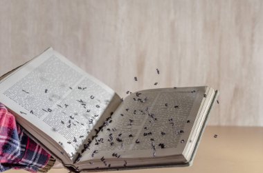 Kitaptan çıkan mektuplar. bir kitap yiyip