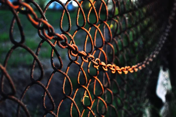 Zincir Bağlantı Çit Paslanmış Zincirleri — Stok fotoğraf