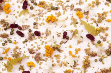 Üst manzara, yaz yapraklı düz yatak, çiçek yaprakları, Chatoci fotoğraf arkaplanı, kumaş veya kart için mükemmel. Yumuşak sıcak renkler.