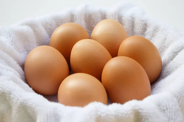 Eggs White Background — Stock Photo, Image