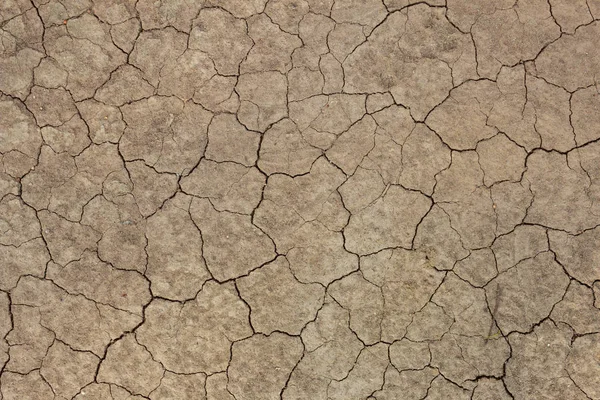 arid land cracked surface
