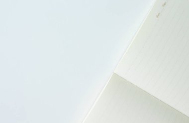 Beyaz arka plan üstünde aşk günlüğü Sevgililer günü defter