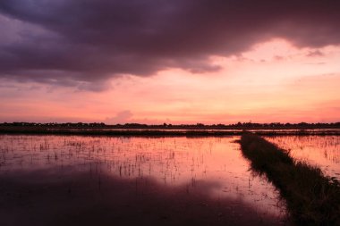 günbatımı gökyüzü bulutlar ufuk arka plan
