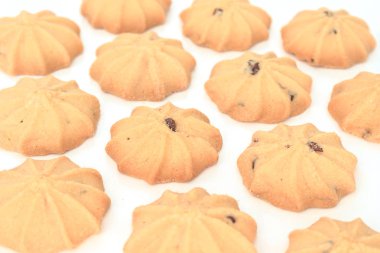 çikolata parçalı kurabiye bisküvi üzerinde beyaz bakcground