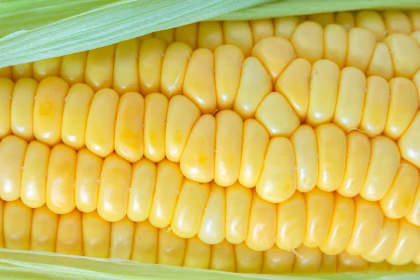 Kolby Łuski Żywności Ekologicznej Natura Tło Kukurydzy — Zdjęcie stockowe