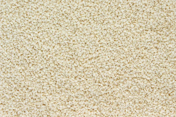 White Sesame Seed White Background — Stock Photo, Image