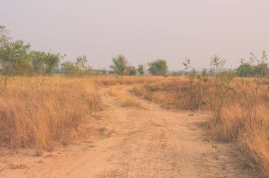 yol ve yol yaz vintage doğa arka plan