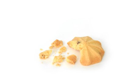 çikolata parçalı kurabiye bisküvi üzerinde beyaz bakcground