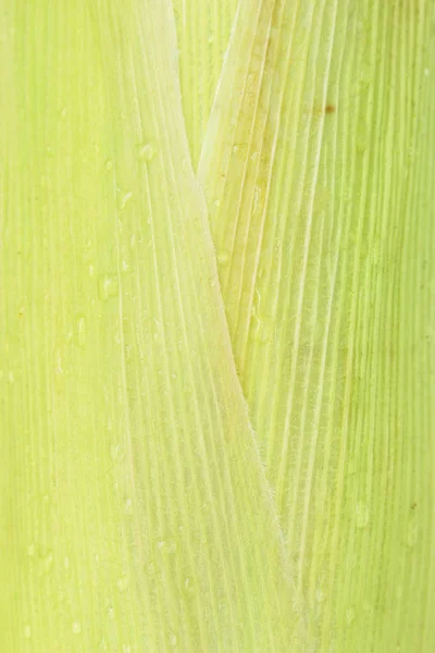 Кукурудза Коб Лушпиння Органічної Їжі Природний Фон — стокове фото