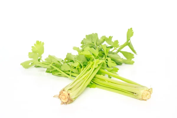 Celery Vegetable Organic Food Healthy Nature — Stock Photo, Image