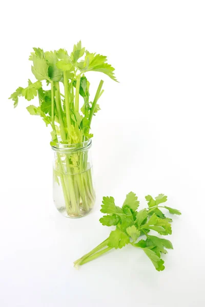 セロリ野菜有機食品健康的な自然 — ストック写真