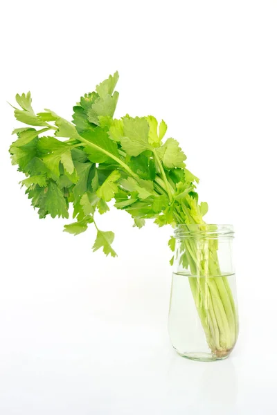 Aipo Vegetal Alimento Orgânico Natureza Saudável — Fotografia de Stock