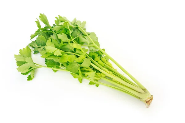 セロリ野菜有機食品健康的な自然 — ストック写真