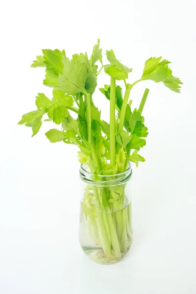 Aipo Vegetal Alimento Orgânico Natureza Saudável — Fotografia de Stock