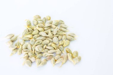 Beyaz arka plan üzerinde taze tohum turuncu meyve