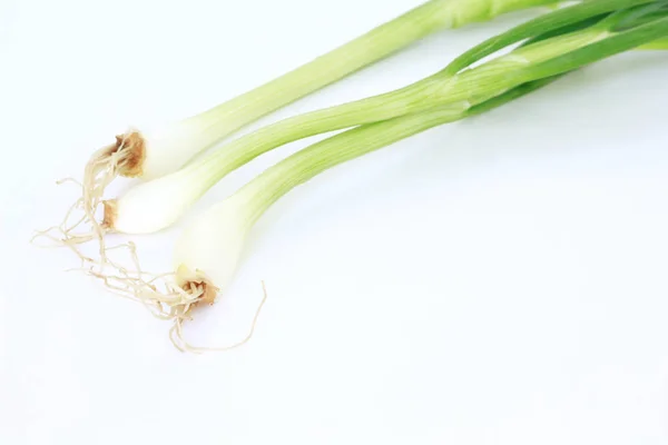 白背景に青ネギ野菜自然食品 — ストック写真
