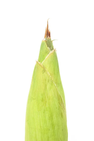 Corn Cob Husk Organic Food Nature Background — Stock Photo, Image