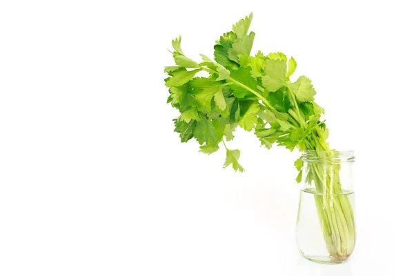Sellerie Gemüse Bio Lebensmittel Gesunde Natur — Stockfoto