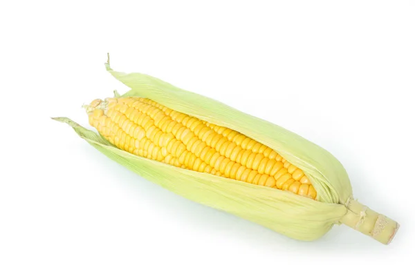 Corn Cob Husk Organic Food Nature Background — Stock Photo, Image