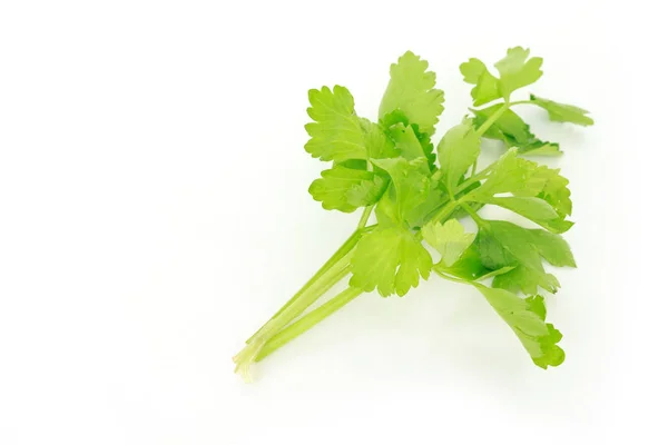 Selleri Vegetabilisk Ekologisk Mat Friska Naturen — Stockfoto