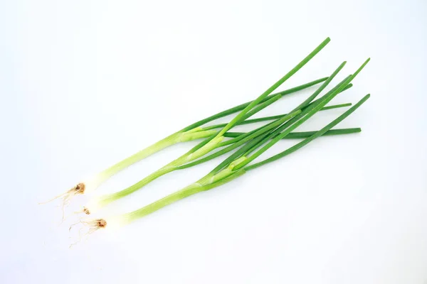 Cipolla Verde Vegetale Natura Cibo Sfondo Bianco — Foto Stock