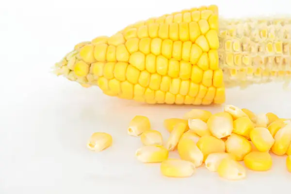 Corn Organic Food Nature Background — Stock Photo, Image