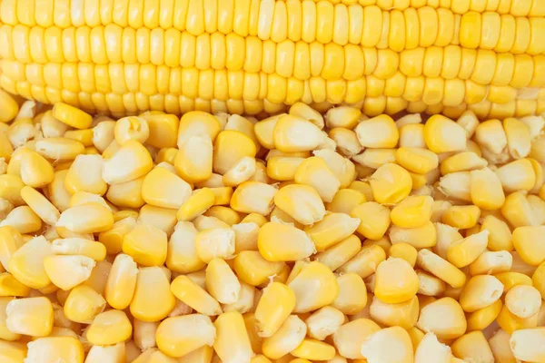 Kukurydza Żywności Ekologicznej Natura Tło — Zdjęcie stockowe