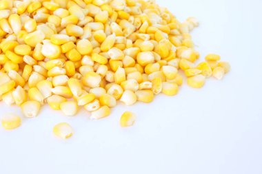 Mısır kazık organik gıda doğa beyaz arka plan üzerinde