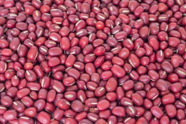sebze gıda doğa arka plan kırmızı fasulye tohumu kazık