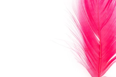 tüy kırmızı doku desen arka yumuşak plan