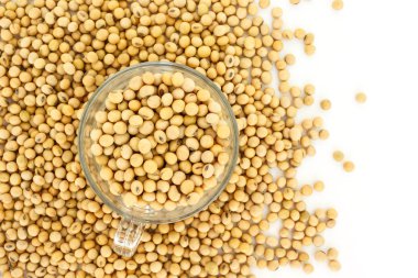 soya fasulye bitki tohum sağlıklı sebze gıda doğa arka plan