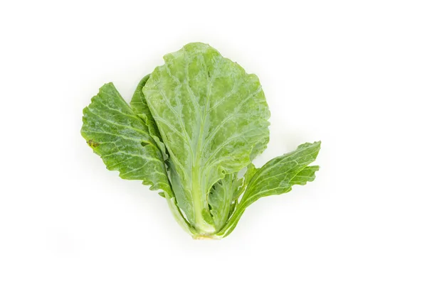 Chinese Kale Top View White Background — Stock Photo, Image