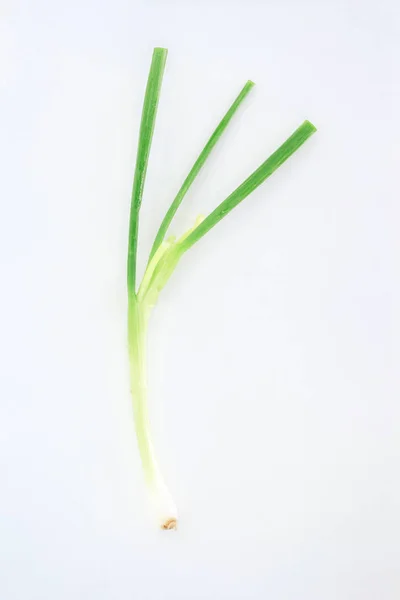 Zelená Cibule Rostlinné Povahy Potravin Bílém Pozadí — Stock fotografie
