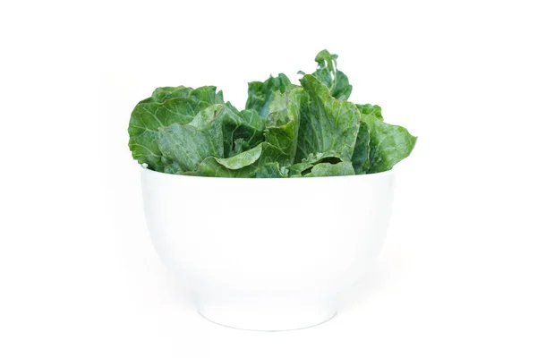 Chinese Kale Bowl White Background — Stock Photo, Image