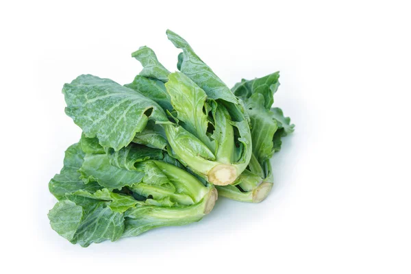 Chinese Kale White Background — Stock Photo, Image
