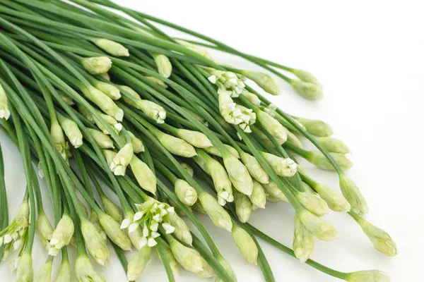 Chinesischer Schnittlauch Blumen Zwiebeln Stiel Gemüse Lebensmittel Natur Hintergrund — Stockfoto