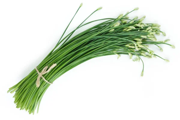 Chinese Chive Flowerring Onions Stalk Vegetable Food Nature Background — Stock Photo, Image