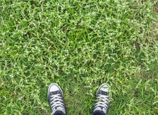 top foot grass unique perspective