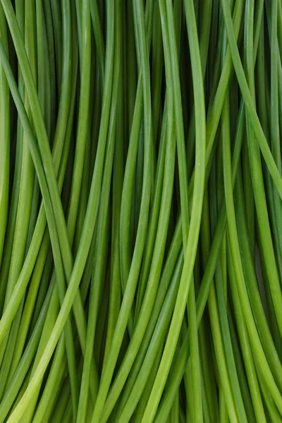 Chinese Chive Flowerring Onions Stalk Vegetable Food Nature Background Royalty Free Stock Photos