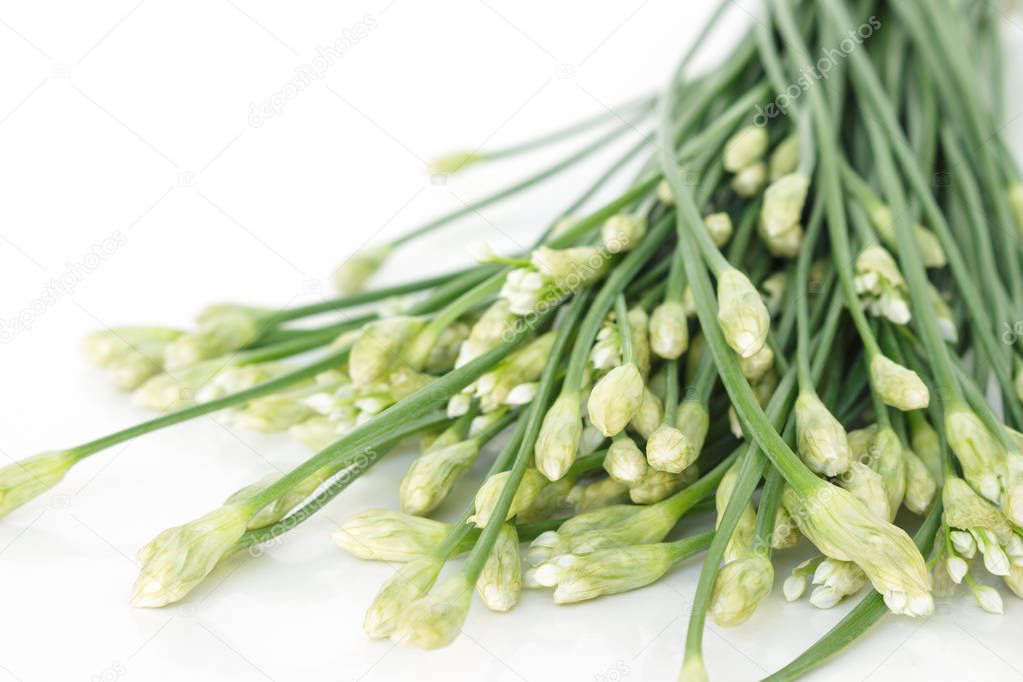 chinese chive flowerring onions stalk vegetable food on white background