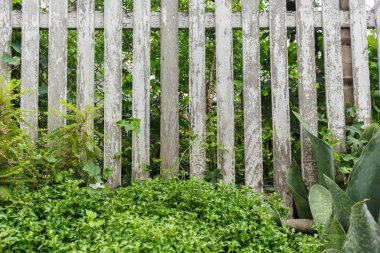 Beyaz çit eski harap