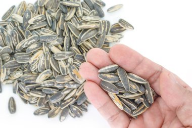 Beyaz arka plan üzerinde elinde ayçiçeği tohumu.