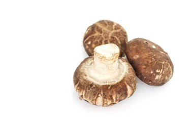 Beyaz arkaplanda mantarlar.