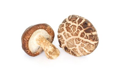 Beyaz arkaplanda mantarlar.