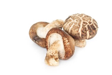 Beyaz arkaplanda mantarlar.