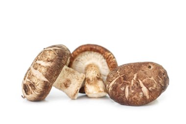 Beyaz arkaplanda mantarlar.