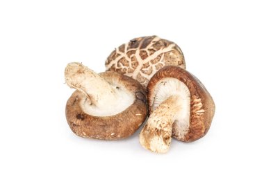 Beyaz arkaplanda mantarlar.