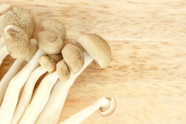 ahşap arka plan üzerinde mantar üstten görünüm.